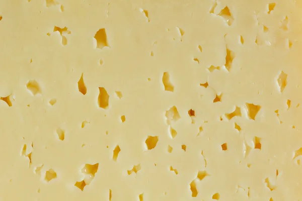 Yellow cheese macro texture — Stock Photo, Image