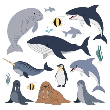 Okyanusta yüzen deniz hayvanlarının tuhaf bir koleksiyonu..