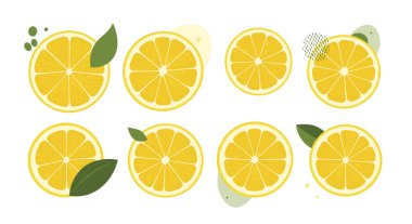 Sekiz farklı limon dilimlerinin toplanması gıda markası ve arkaplanı için çeşitli yapraklar ve dekoratif noktalar gösteriyor..