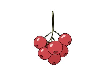 İnce yeşil saplı küçük kırmızı böğürtlen kümesi, festival dekorasyonları, sonbahar temaları ve botanik çizimleri için ideal..