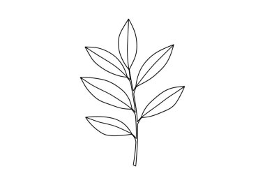 Temiz beyaz bir arkaplanda çoklu sivri uçlu oval yapraklı bir bitki sapının basit siyah çizgi çizimi.