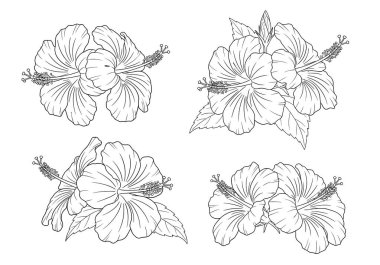 Beyaz arkaplanda yaprakları olan dört farklı siyah ve beyaz çizgi çizgisi koleksiyonu.