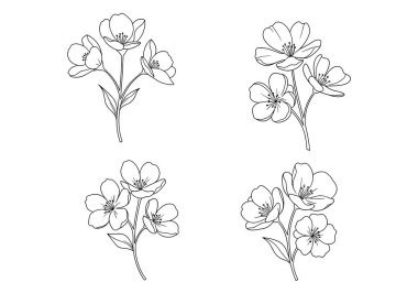 Çeşitli çiçek desenleri için beyaz bir arka planda izole edilmiş siyah çizgili dört farklı kiraz çiçeği tomurcuğu koleksiyonu.