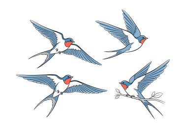 Farklı uçan pozlarda zarif kırlangıç kuşları ve klasik bir illüstrasyon tarzında bir dalın üzerine tünemiş biri..