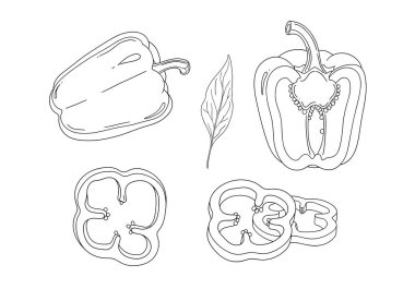 Gıda tasarımı için basit bir çizgi çiziminde bütün meyve ve kesitleri içeren dolmalık biberlere farklı bakış açıları.