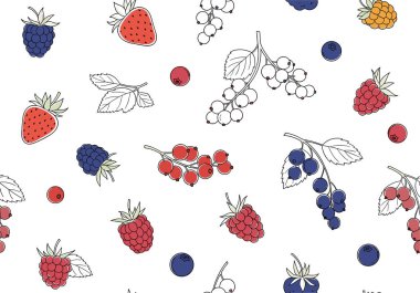 Çilekler, ahududular, yaban mersinleri ve yeşil yapraklı üzümler de dahil olmak üzere çeşitli renkli dutların hareketsiz desenleri..