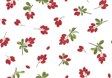 Kırmızı böğürtlen kümeleri ve beyaz arka planda küçük yeşil yapraklar içeren küçük böğürtlen dalları içeren hassas, pürüzsüz bir desen..