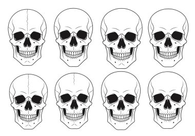Siyahi çizgi sanatında beyaz arka planda ön perspektiften çizilmiş sekiz insan kafatasının yer aldığı bilimsel çizimler..