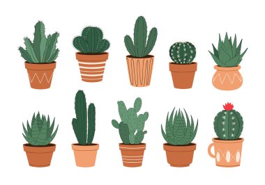 Beyaz arka planda izole edilmiş on farklı kaktüs ve sulu çömlek ve dekoratif ekicilerin toplanması..