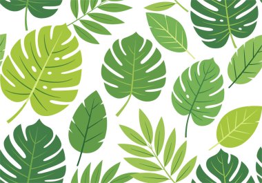 Yeşil yaprakların çeşitli türlerini gösteren pürüzsüz tropikal desenler. Monstera ve palmiye yaprakları da dahil. Vektör içinde temiz beyaz bir zemin üzerinde..