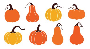 Sonbahar festivali temaları için çeşitli balkabakları ve kabakları ılık turuncu ve sarı renklerde stilize edilmiş koyu sapları ve kıvrımlı sarmaşıkları var..