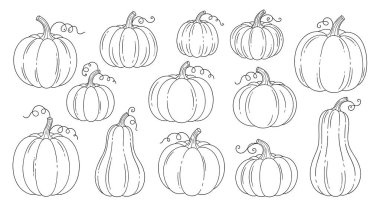 Farklı şekil ve boyutlarda çeşitli balkabağı hatlarının ayrıntılı koleksiyonu. Temiz çizgi sanatı ve bukle sapları içeriyor..