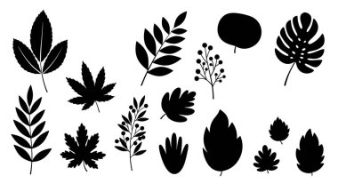 Akçaağaç ve meşeden eğrelti otuna ve canavara kadar çeşitli yaprak türlerini temsil eden büyük siyah siluet koleksiyonu beyaz bir arka planda..