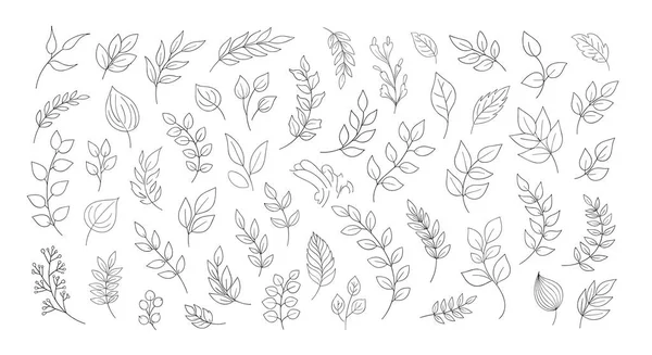 Beyaz arkaplanda narin ve sanatsal bir botanik tasarım için siyah noktalı çizgiler oluşturulmuş çeşitli yaprak ve dal çizimleri..
