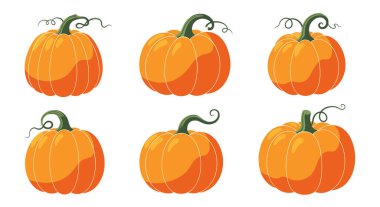 Yeşil bukleli altı turuncu balkabağı seti. Temiz ve basit bir sonbahar resmedilmesi için ince gölgeleme ve röfle içeriyor..