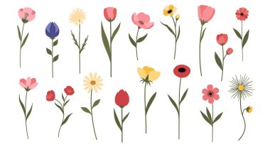 Pembe, sarı ve mavi tonlarında, yeşil saplı ve yaprakları sade beyaz arkaplanda sıralanmış renkli çiçeklerin geniş çeşitliliği..