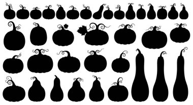 Cadılar bayramı veya sonbahar tasarımları için sıra sıra dizilmiş çeşitli kabak ve kabak türlerini gösteren geniş siyah siluetler..