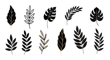 Siyah yaprak ve dallardan oluşan zarif bir set. Düz bir arkaplanda iki sıra halinde gösterilen ince bronz ya da altın çizgilerle vurgulanmış..