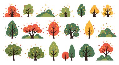 Sonbahar manzarası ve orman çizimleri için düşen yapraklarla çeşitli şekillerde ve renklerde 18 sonbahar ağacı seti..