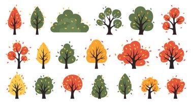 Mevsimsel doğa ve çevre temaları için canlı sonbahar renkleri ve kıvrımlı yapraklar içeren çeşitli sonbahar ağaçları ve çalılar..