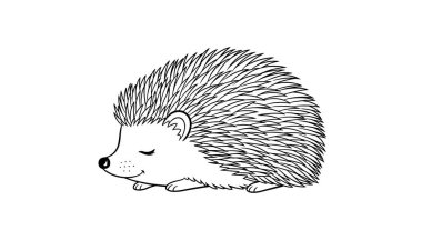 Tatlı siyah beyaz çizim tatlı bir kirpi huzur içinde uyuyor gözleri kapalı beyaz bir arka planda.