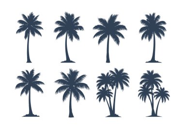 Tek ağaçlar ve küçük gruplar dahil olmak üzere çeşitli palmiye ağaçlarının siluetleri tropikal tasarım için beyaz bir zemin üzerinde izole edilmiştir..