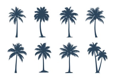 Farklı şekillerdeki çeşitli palmiye ağaçları siluetleri ve tropikal ve yaz temaları için beyaz bir arka planda izole edilmiş düzenlemeler.