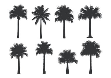 Arka arkaya sekiz farklı palmiye ağacı silueti koleksiyonu. Tropik plaj veya yaz tatili projeleri için mükemmel..
