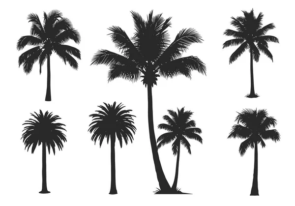 Hindistan cevizi ve fan palmiyeleri de dahil olmak üzere farklı tropikal palmiye türlerinin siyah siluetleri ağ için temiz beyaz bir zemin üzerinde izole edilmiştir..