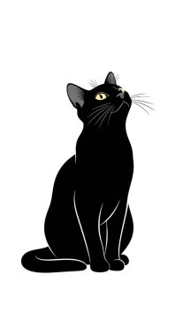 Zarif sarı gözlü zarif siyah kedi, beyaz arka planda merakla yukarıya bakıyor..