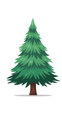 Yoğun yeşil dalları olan uzun yeşil çam ağacı basit bir vektör illüstrasyonunda beyaz bir arkaplanda tek başına duruyor..