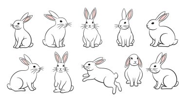 Oturma, zıplama ve hayvan temalı tasarım gibi çeşitli pozlarda on iki beyaz tavşan çizimi..