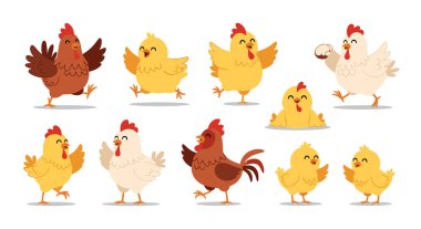 Çiftlik çizimleri için çeşitli mutlu ve neşeli pozlarda büyük bir grup şirin tavuk ve sarı piliç..