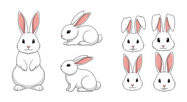 Çeşitli tüm vücut pozlarını ve uzun kulaklı farklı kafa ifadelerini gösteren beyaz tavşan karakter tasarımları..