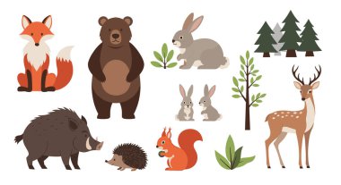 Tilki, ayı, tavşan, yaban domuzu, geyik, kirpi ve yeşil çam ağaçları arasında sincap kümesi.