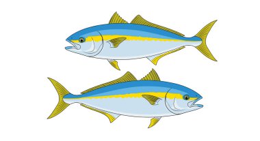 Bir çift sarı kuyruklu balık zıt yönlerde yüzüyor. Gerçekçi mavi ve gümüş renkli, belirgin sarı çizgileri ve yüzgeçleri var..