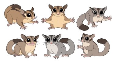 Çeşitli pozlarda altı sevimli planör koleksiyonu büyük gözlerini ve belirgin gri ve kahverengi kürk işaretlerini gösteriyor..