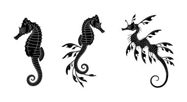 Üç detaylı siyah deniz atı silueti. Karmaşık desenleri ve organik yapraklı yüzgeçleri var. Düz beyaz arka planda..