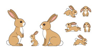 Kahverengi tavşanların ailesi farklı pozlarda duruyor. Buna doğa ve vahşi yaşam çizimleri de dahil..