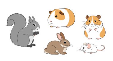 Gri sincap, turuncu ve beyaz kobay, hamster, kahverengi tavşan ve küçük beyaz bir fareyi içeren bir grup şirin çizgi film hayvanı..
