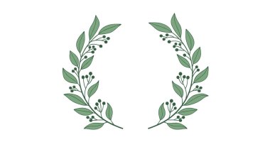 Simetrik yeşil zeytin yaprağı. Zarif dekorasyon için sade beyaz arka planda küçük böğürtlenlerle süslenmiş..