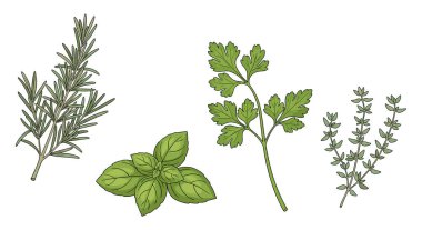 Biberiye, fesleğen, maydanoz ve kekik de dahil olmak üzere el yapımı taze otlar..