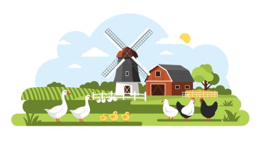 Klasik bir yel değirmeni, kırmızı bir ahır ve tavuk ve kaz gibi çeşitli çiftlik hayvanlarıyla huzurlu ve huzurlu bir çiftlik sahnesi..