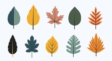 Modern ve alışılmadık bir renk paletinde, çağdaş mevsimsel tasarımlar için mükemmel 10 adet stilize sonbahar yaprakları koleksiyonu..