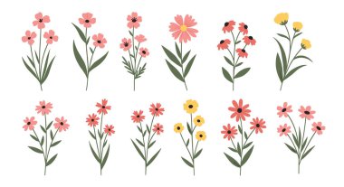 Pembe, kırmızı ve sarı on narin kır çiçeği buketi koleksiyonu, basit, nazik, el yapımı bir şekilde resmedilmiş..