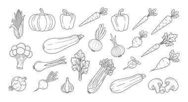 Balkabağı, mısır, havuç, biber, soğan, brokoli ve mantarlardan oluşan büyük sebze çizgileri..