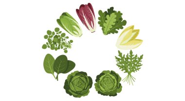 Şekillendirilmiş vektör tasarımında çeşitli yeşil ve mor yapraklı sebzeler içeren dairesel bileşim..