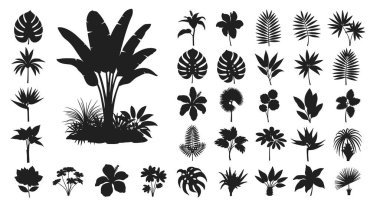 Orman temalı tasarımlar için çeşitli tropikal palmiye yaprakları ve egzotik botanik bitkiler içeren çeşitli siyah siluet koleksiyonları.
