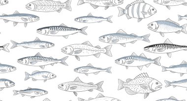 Detaylı, pürüzsüz desen. Temiz beyaz arka planda mavi ve gri tonlarında çeşitli balık türleri var..