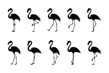 Flamingo Kuş Siluet Vektör Koleksiyonu 